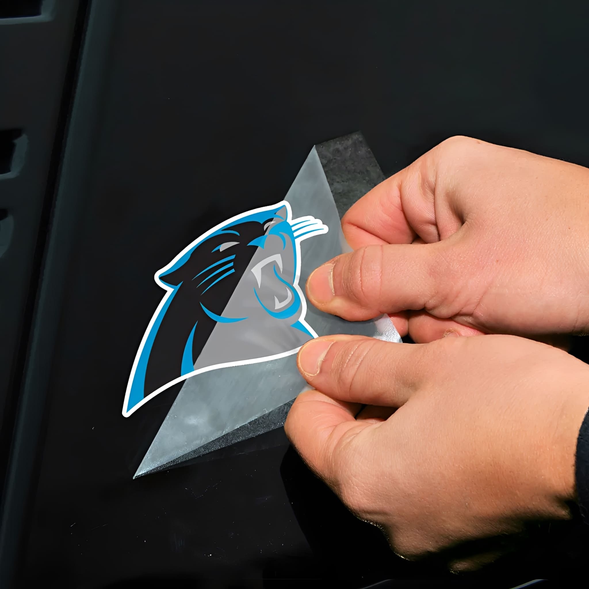 NFL Aufkleber Carolina Panthers Perfect Cut Color Decal 4" x 4"